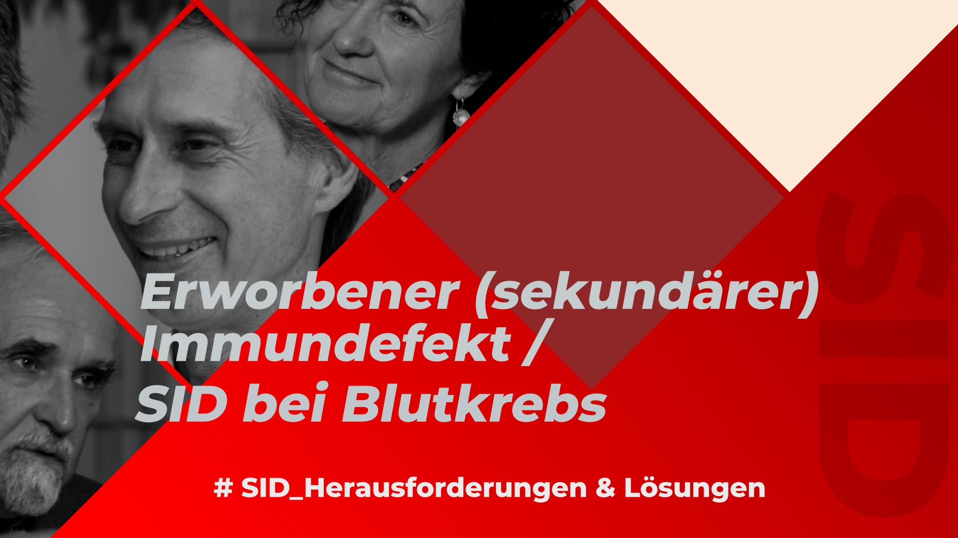 SID Herausforderungen