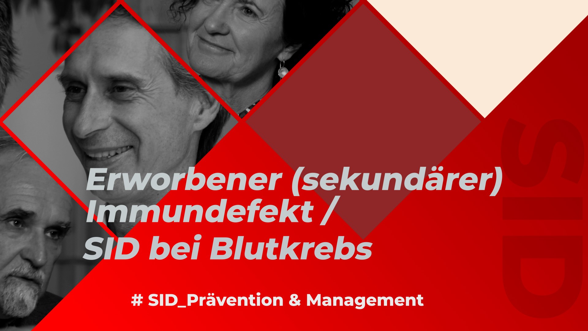 SID Prävention & Management